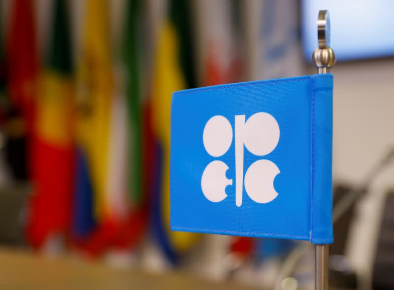 FILE PHOTO: An OPEC flag inside the oil producer group's Vienna headquarters
