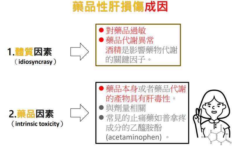 造成藥品肝損傷有兩大因素（圖／食藥署提供）