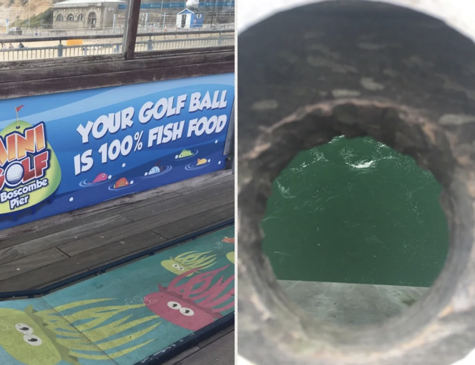 "Your golf ball is 100% fish food"