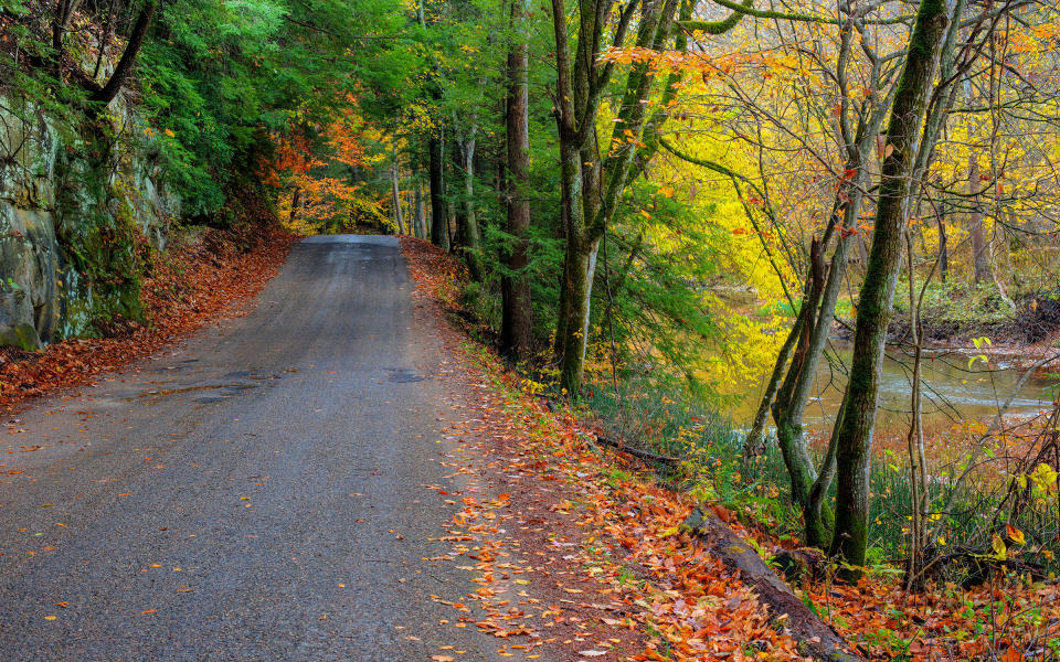 <p>To experience the wonder of fall in Southeastern Ohio, head an hour outside of Columbus to the Hocking Hills Scenic Byway. Officially known as “the Gateway to Ohio's Scenic Wonderland,” the road was built between Rockbridge and South Bloomingville by the Civilian Conservation Corps (CCC) back in the 1930s. It threads through the 2,356-acre Hocking Hills State Park, offering views of cliffs, waterfalls, caves, gorges, and ziplines (!).</p>