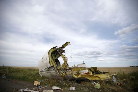 A part of the wreckage is seen at the crash site of the Malaysia Airlines Flight MH17 near the village of Hrabove (Grabovo), in the Donetsk region in this July 21, 2014 file photo. REUTERS/Maxim Zmeyev/Files