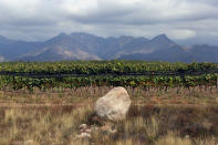 <strong>1er</strong> - Zuccardi Valle de Uco / Argentine