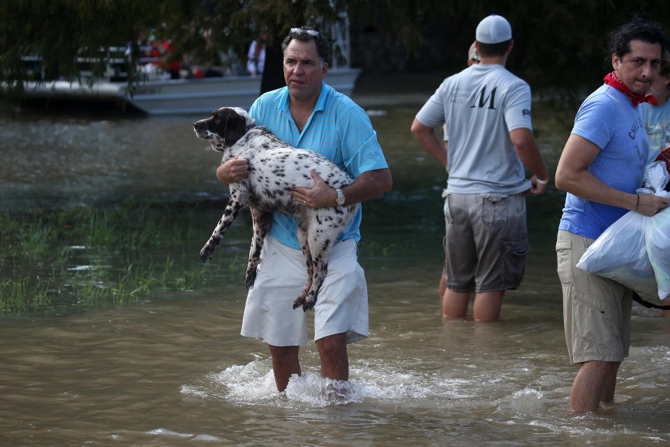 <p>A man carries his dog through flood water after being evacuated from the rising water following Hurricane Harvey in a neighborhood west of Houston, Texas, Aug. 30, 2017. (Photo: Carlo Allegri/Reuters) </p>