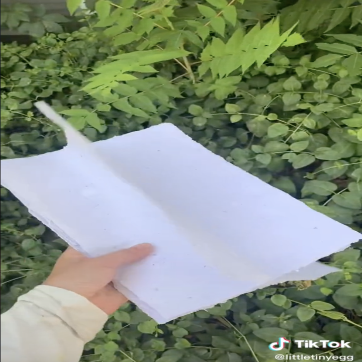 A screengrab of a TikTok by @littletinyegg holding recycled paper