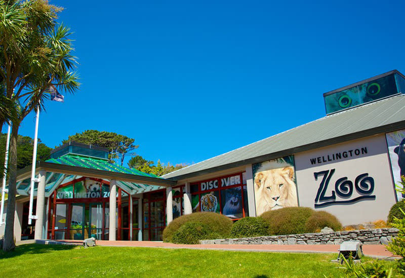 Wellington Zoo has recently undergone a $6 million expansion and “Meet the Locals” is the newest feature of that revamp. Described as the zoo’s love letter to New Zealand, ‘Meet the Locals’ celebrates New Zealand’s diverse flora and fauna. Designed around four areas, Penguin Point is a mini wild-west south coast where endangered korora (little blue penguins) can be seen in an area that’s remarkably close to their natural habitat while Pohutukawa Farm is home to cute kunekune pigs, sheep, rabbits, guinea pigs and chickens plus there’s a pond full of freshwater eels. A third popular section features native bush and precious ecosystems with the entire experience tied together in the fourth realm, Conservation Connection.