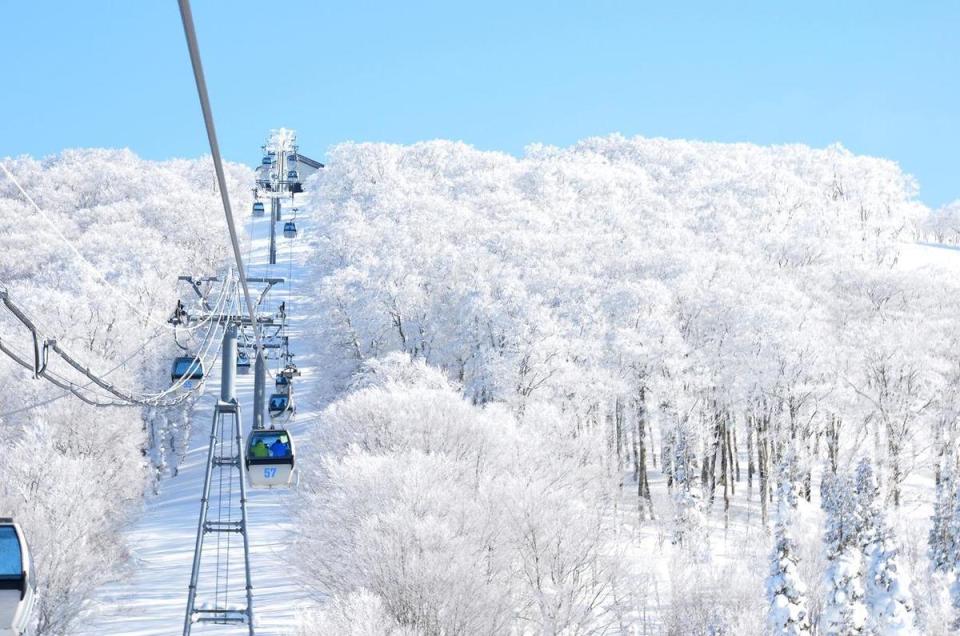 自然形成的森吉山樹冰。（燦星旅遊提供）