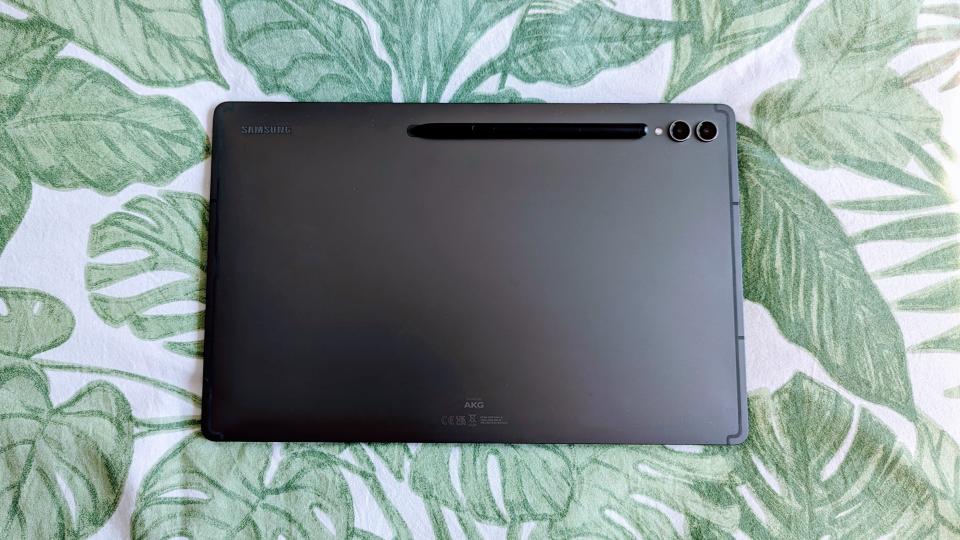 Samsung Galaxy Tab S9 Ultra 5G from the back with S Pen