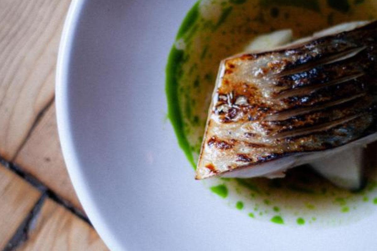 Tender brined mackerel with pickled turnip, served at Montrose when The National visited in February <i>(Image: NQ)</i>