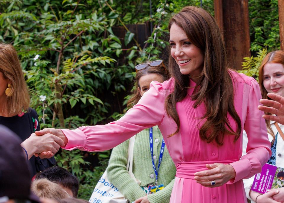 The Princess of Wales visited three gardens at the Chelsea Flower Show and spoke with local schoolchildren - Karl Black/Alamy Live News