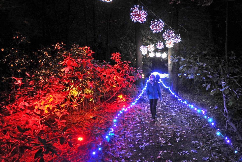 A lighted path winds past colorful lighted trees during "Winterlights" at the Bradley Estate in Canton on Friday, Nov. 19, 2021.