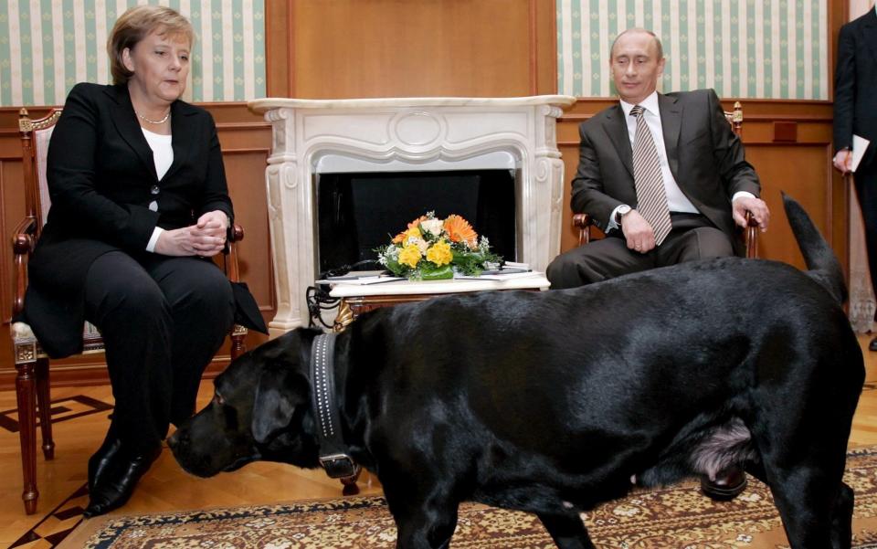 Russian President Vladimir Putin speaking with German Chancellor Angela Merkel...epa00909037 Putin's pet dog Koney walks in the room, where Russian President Vladimir Putin talks to German Chancellor Angela Merkel during their meeting at his residence in Sochi, a Black sea resort, 21 January 2007. Angela Merkel arrived in Russia on a one-day working visit. EPA/DMITRY ASTAKHOV PRESIDENTIAL PRESS SERVICE/ITAR-TASS POOL - DMITRY ASTAKHOV/EPA