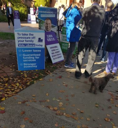 One of the signs also appeared in Kooyong. Source: Twitter/ lsanchezwesley