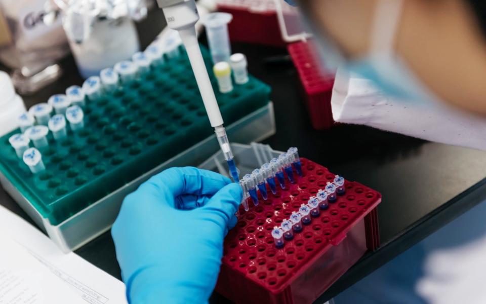 A technician prepares a sample inside the Plasma Nucleic Acids laboratory in the Li Ka Shing Institute of Health Sciences at the Chinese University of Hong Kong in Hong Kong, China, on Tuesday, June 20, 2017 - Bloomberg