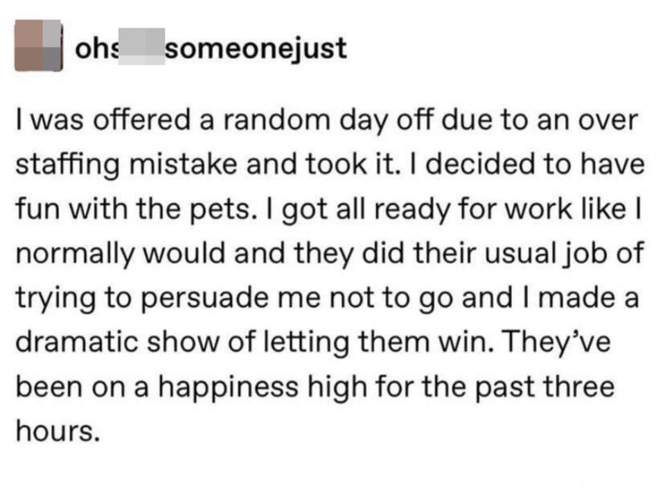 A person with the day off pretending they have to go to work and decided to stay home because their pets persuaded them