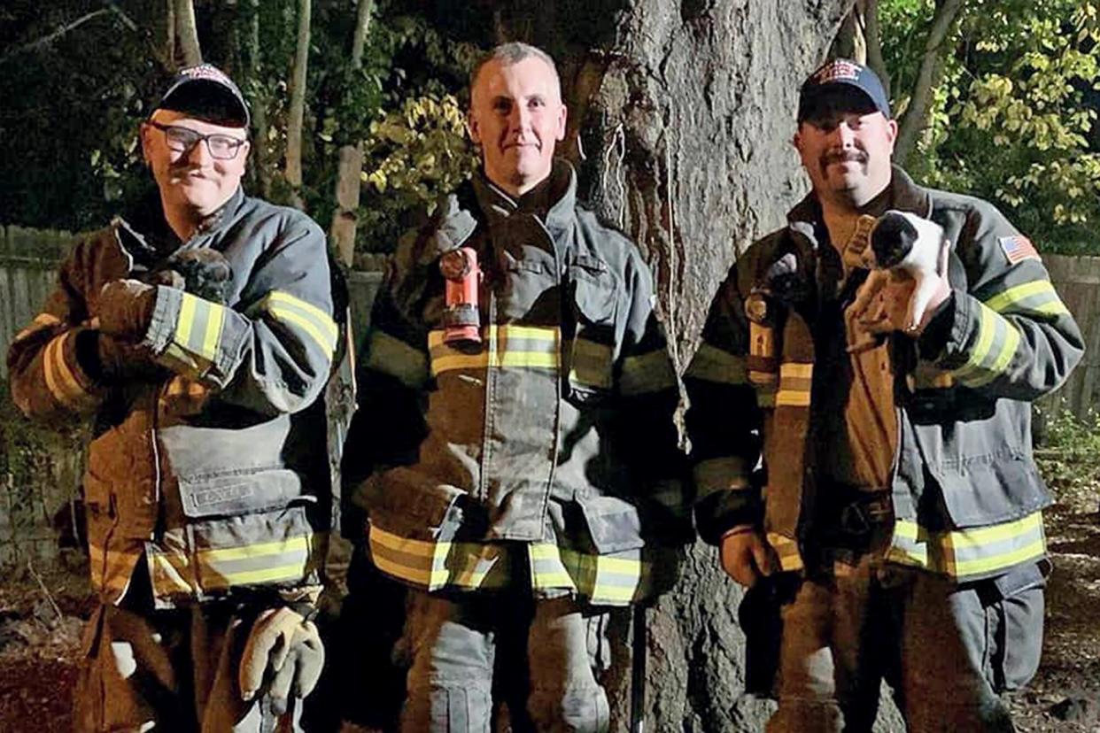 three firefighters stand with two rescued puppies