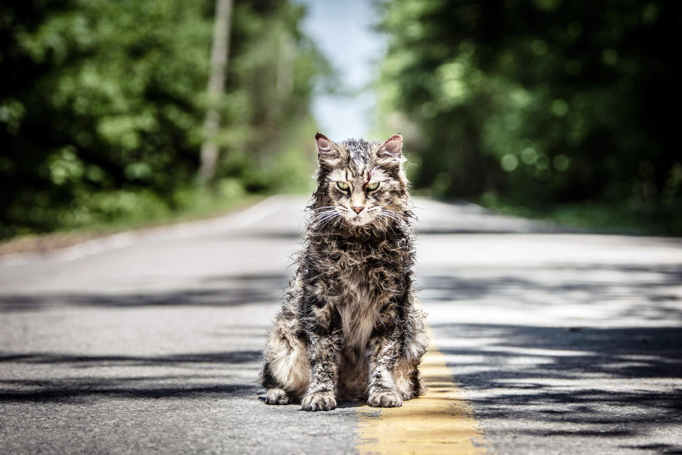 Yep, another remake. The premise of the 2019 version Pet Sematary is almost exactly the same as the original, but the writers made several significant changes to the plot — the Creed family still has an awful time though, don't worry. TBH, it's just as good as the original and different enough to surprise you.