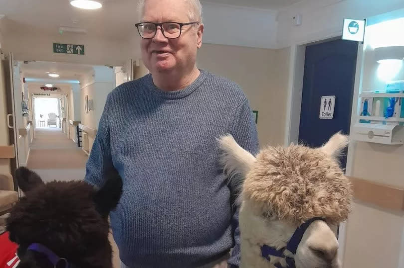 The friendly alpacas made quite an impression