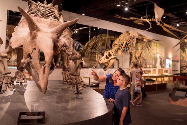 <p>Courtesy of Visit Mesa</p> The Arizona Museum of Natural History is one of the autism-certified attractions in the city of Mesa.