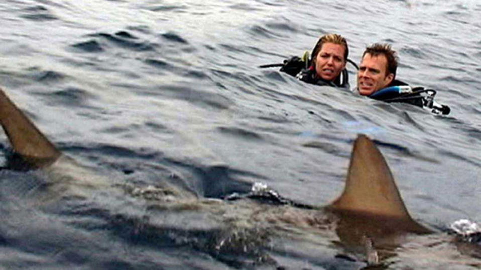 ‘Mar Aberto’ (2003) mostra um casal de férias no Caribe que passa a ser perseguido por um tubarão.