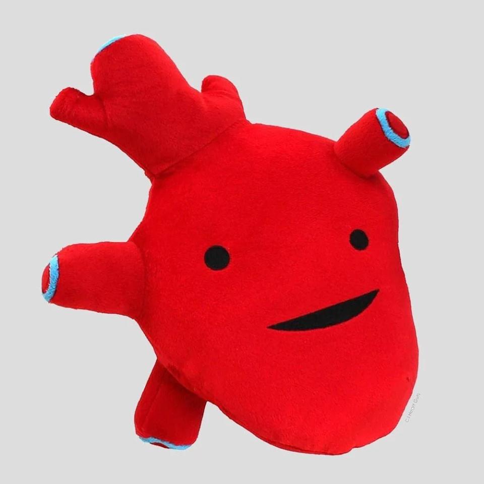 <p><strong>Svaha</strong></p><p>svahausa.com</p><p><strong>$17.99</strong></p><p><a href="https://svahausa.com/products/plush-organs" rel="nofollow noopener" target="_blank" data-ylk="slk:Shop Now;elm:context_link;itc:0" class="link ">Shop Now</a></p><p>Give him a heart this Valentine's Day ... an anatomically correct one! And if you want you can get other organs to go with it, too, like a kidney or liver (or a drop of blood or insulin). It's<strong> a mini STEM lesson</strong> and a V-Day gift in one! <em>Ages 3+</em></p>