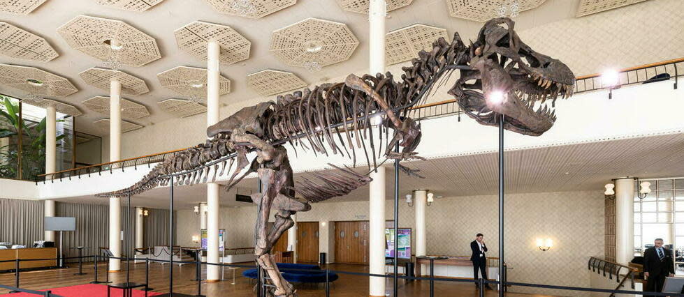 Les chercheurs ont voulu savoir si les dents des T-Rex auraient pu être tout simplement trop grandes pour leur bouche (photo d'illustration).  - Credit:MICHAEL BUHOLZER / KEYSTONE / EPA
