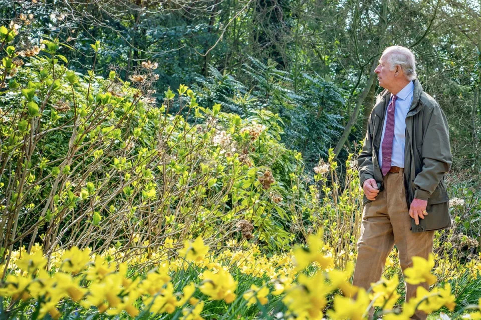 The King in the gardens of his home at Highgrove (Leanne Punshon/The Prince’s Foundation/PA) (PA Media)