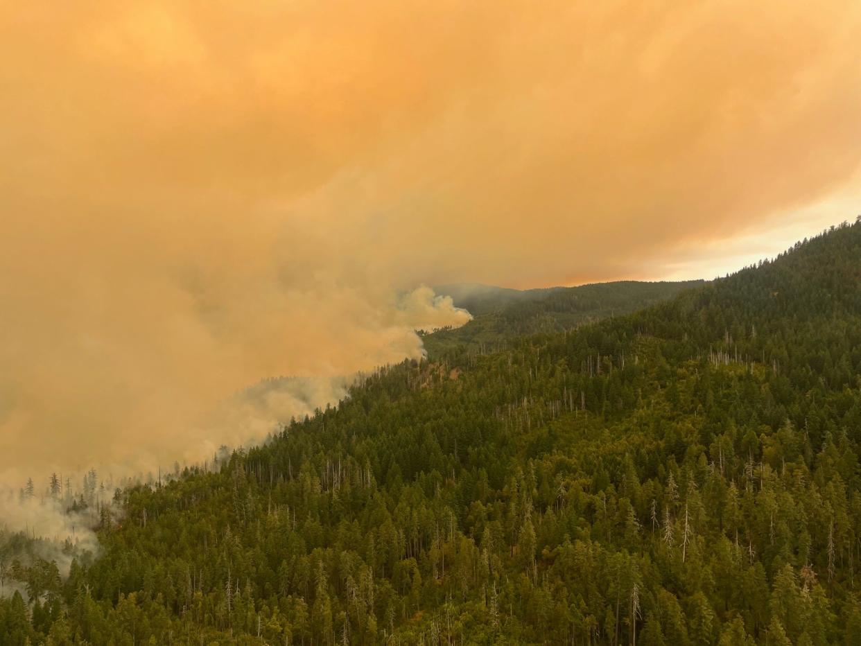 The western flank of the Flat Fire from the air looking southeast.