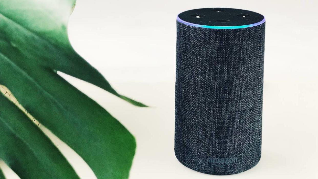  An Amazon smart speaker standing next to a plant. 