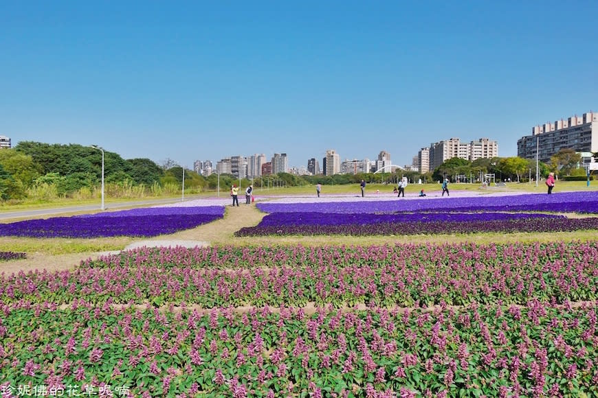 台北｜古亭河濱公園