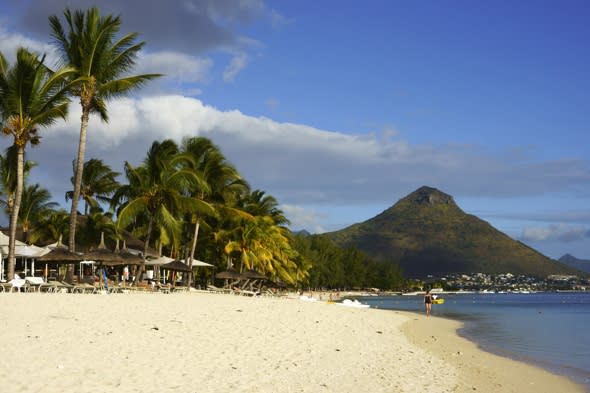 British teen dies swimming with dolphins in Mauritius