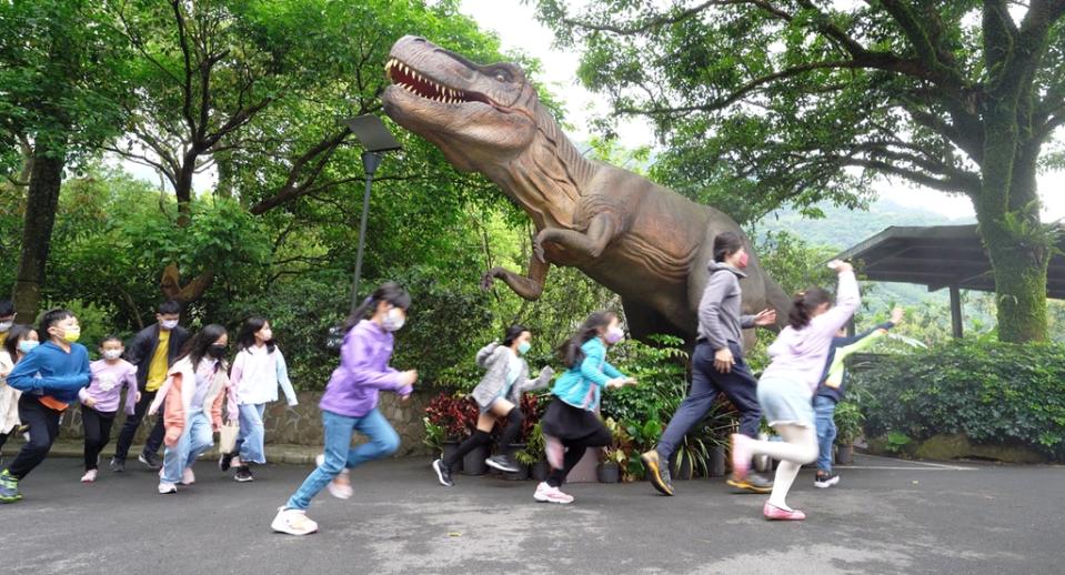 ▲圖說：大、中、小型擬真恐龍，滿足所有愛好恐龍的大小朋友。（照片提供/大板根森林溫泉酒店）