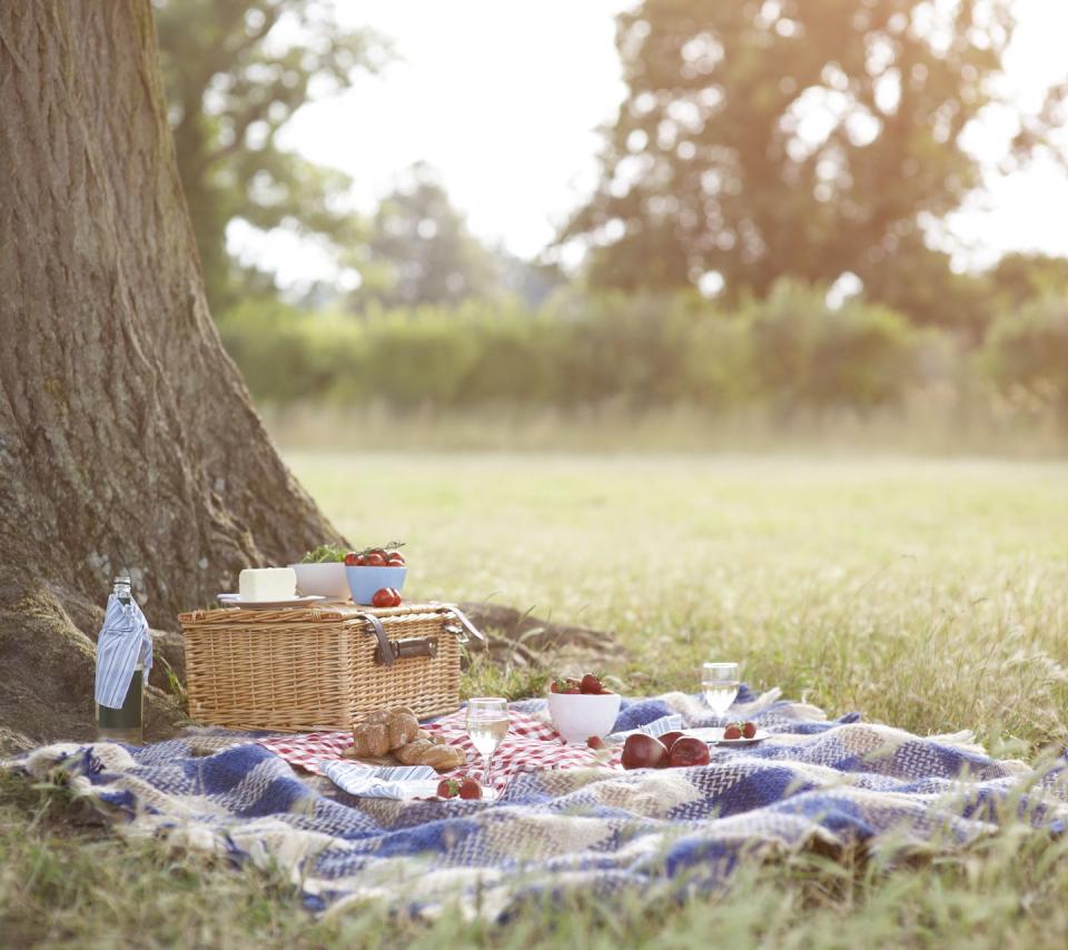 Stop for a Picnic