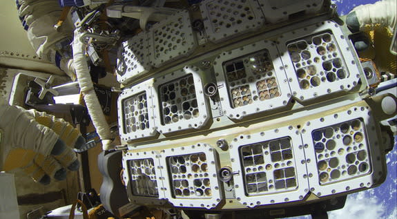 Astronauts installing the Expose-R2 facility on the International Space Station. As part of ESA’s Expose-R2 project, 46 species of bacteria, fungi and arthropods are inside those containers as they spend 18 months bolted to the outside of the I