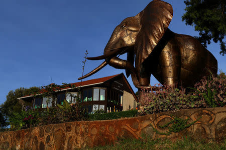 An elephant statue stands next to the Kerio View, a hotel and training camp mostly used for foreign athletes training in Iten, western Kenya, April 13, 2016. REUTERS/Siegfried Modola