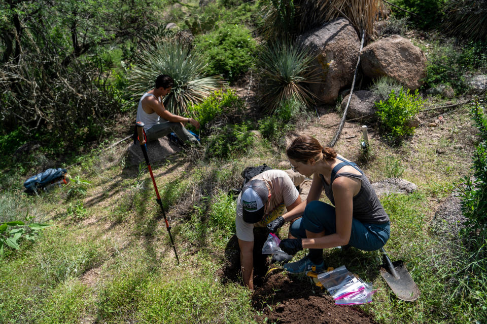 Alexander Ederer (left) a graduate student in Jon Chorover's Lab, Paul Carini (center) an assistant professor at the University of Arizona's Department of Environmental Science, and Izzy Viney (right) a graduate student at the Carini Lab, collect soil samples in an area northeast of Saddlebrooke, Arizona, on Aug. 18, 2022.