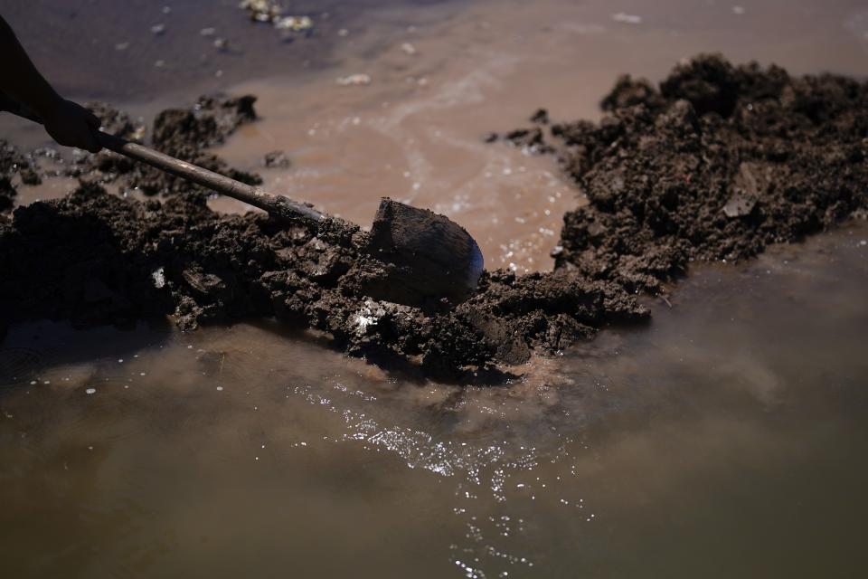 FILE - Adan Vallejo blocks water with mud as he irrigates a field of cotton with water from the Colorado River, Aug. 14, 2022, near Ejido Mezquital, Mexico. Competing priorities, outsized demands and the federal government's retreat from a threatened deadline all combined to thwart a voluntary deal last summer on how to drastically cut water use from the parched Colorado River, according to emails obtained by The Associated Press. (AP Photo/Gregory Bull)