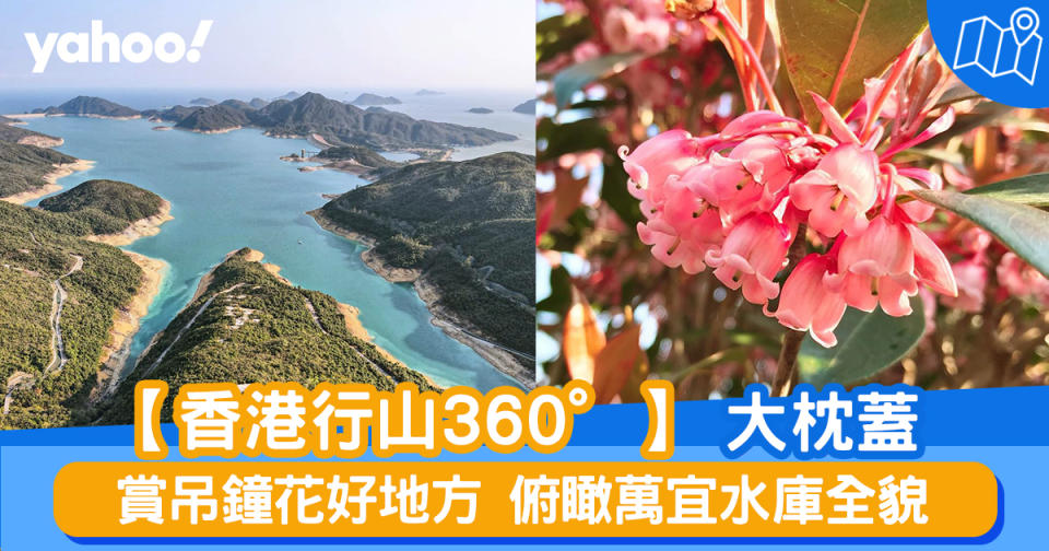 【行山路線】360度睇大枕蓋：賞吊鐘花好地方 俯瞰萬宜水庫全貌