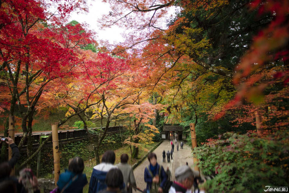 紅葉名所香嵐溪