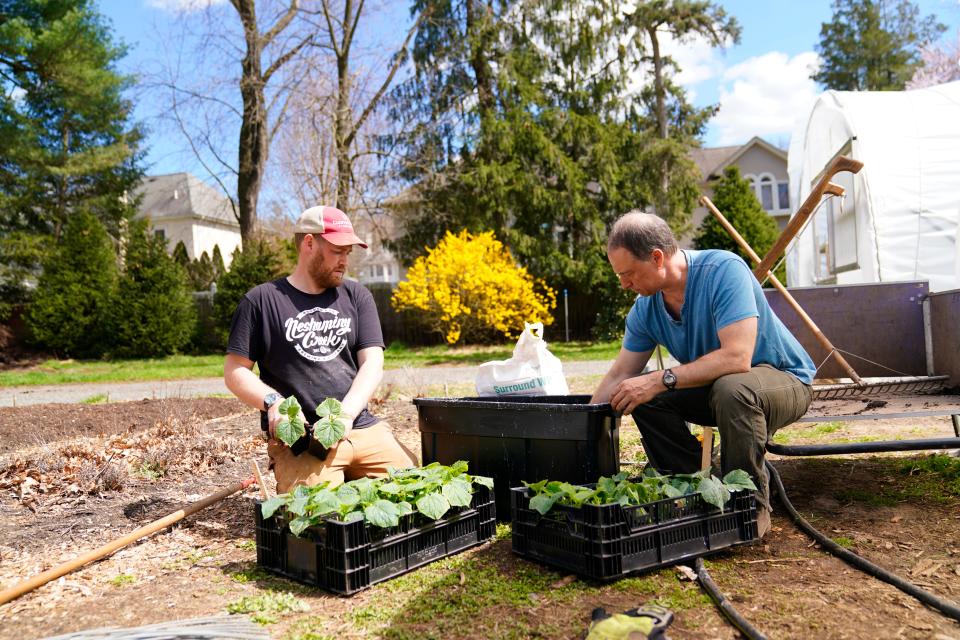 Closter Farm and Livestock Co. co-founders Jared Krawitz, left, and Jon Friedland soak vegetables in a clay mixture before planting on Tuesday, April 12, 2022, in Closter.