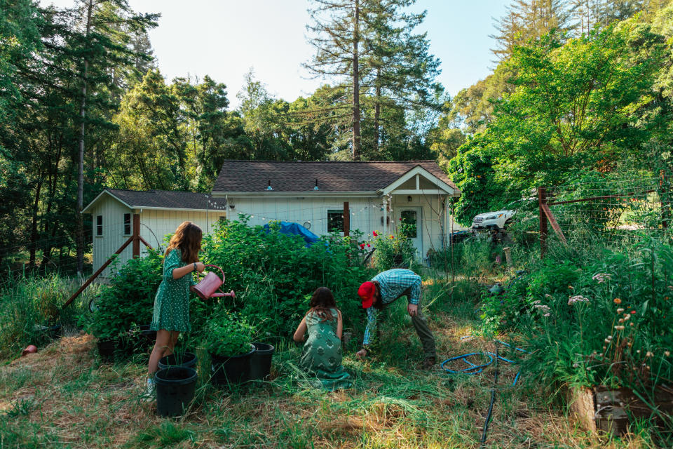 The Lafollette family does yard work at their house in Soquel, Calif., on Thursday. (Clara Mokri for The Washington Post)