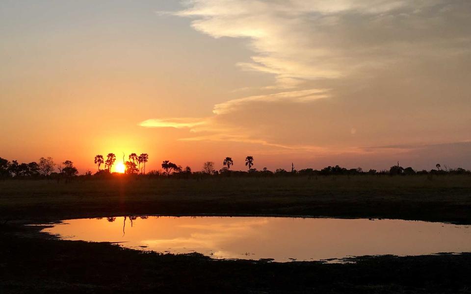 <p>A picture-perfect sunset in the bush near Abu Camp.</p>