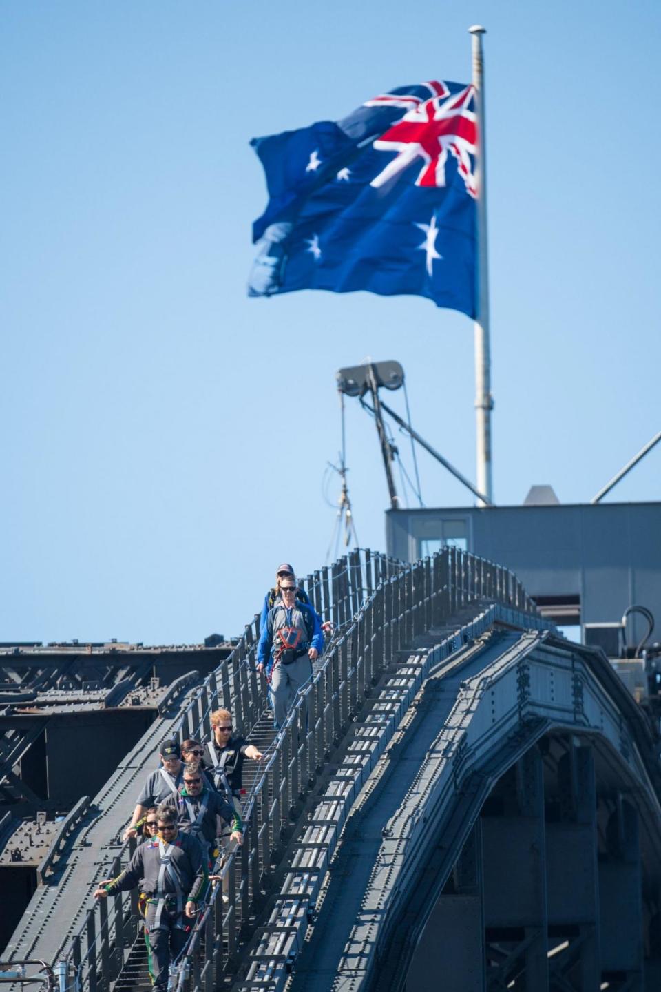 Harry and the VIP group atop the bridge (PA)