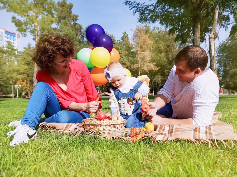 parents mother father baby family picnic