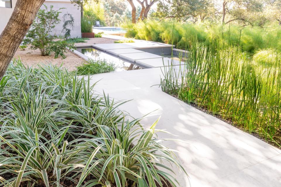 backyard path with cool toned plants with silver foliage and water feature by Eden Garden Design