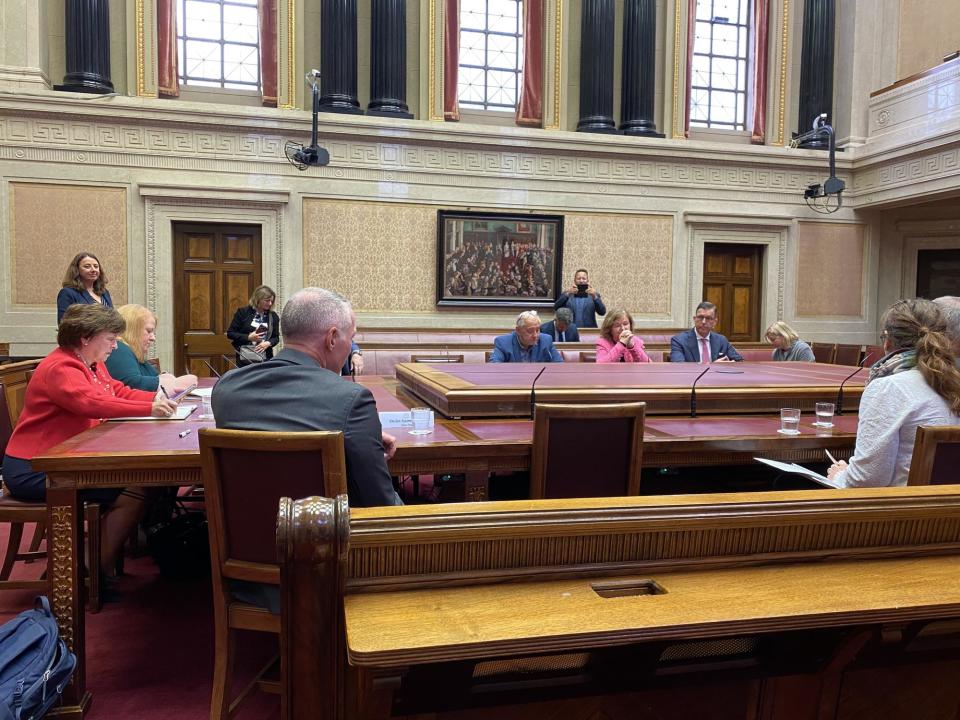The former MEPs Diane Dodds and Naomi Long in the senate chamber in Parliament Buildings, Stormont for a visit of the European Parliament's Committee on  Foreign Affairs on Monday September 18 2023 (Photo: DUP)