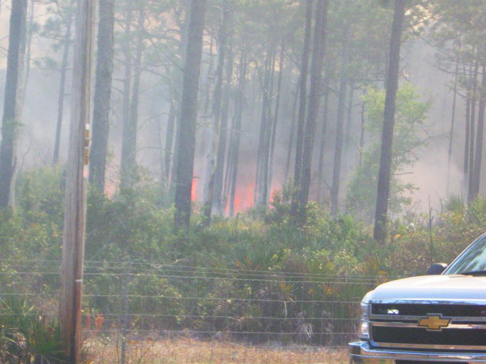 This 2013 photo shows a wildfire that jumped Cedar Point Road and ignited a second fire.