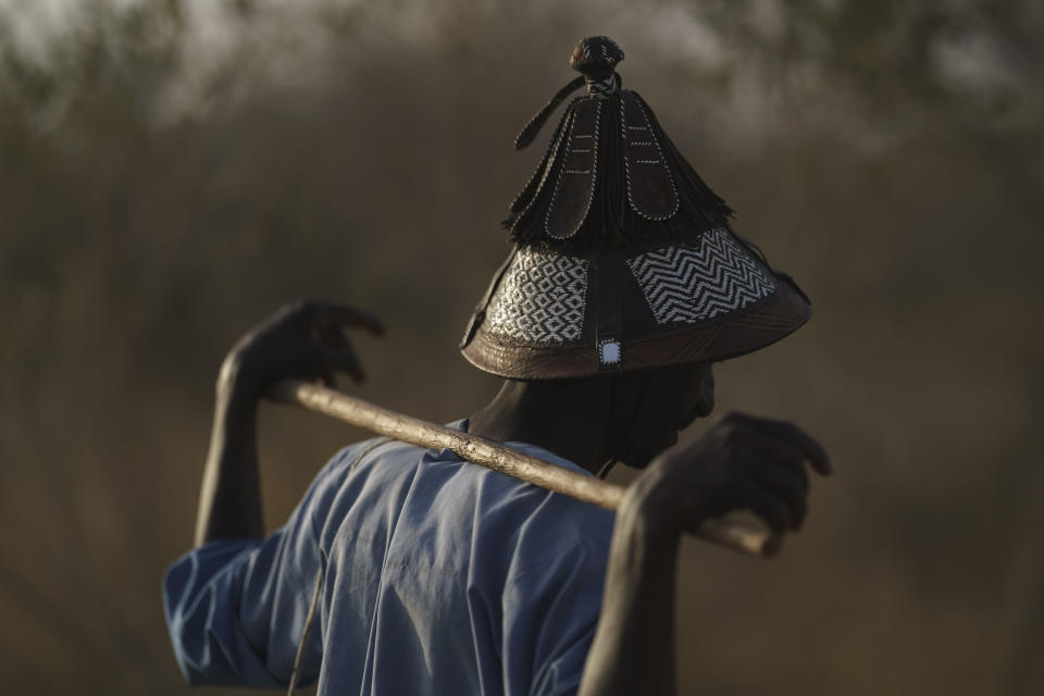 Amadou Altine Ndiaye, rests his hands on a stick after checking on his cows in the village of Yawara Dieri, in the Matam region of Senegal, Saturday, April 15, 2023. (AP Photo/Leo Correa)