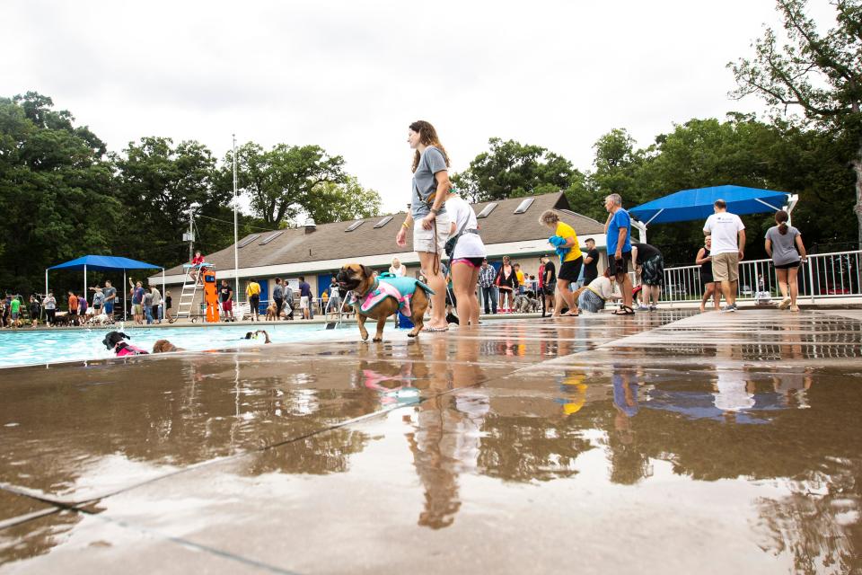 A life-vested dog trots along the poolside during the annual dog paddle hosted by Friends of the Animal Center Foundation and the Iowa City Animal Care & Adoption Center, Sunday, Sept. 8, 2019, at City Park Pool in Iowa City, Iowa.