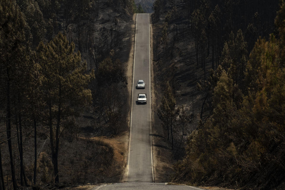 Trees are seen burnt following a fire near Roda, in central Portugal on Tuesday, July 23, 2019. Emergency services in Portugal have brought under control a huge wildfire which raged for four days and injured 39 people. Civil Protection Agency commander Luis Belo Costa says around 1,000 firefighters are watching out for smoldering hotspots amid temperatures close to 40 degrees Celsius and gusting winds. (AP Photo/Sergio Azenha)