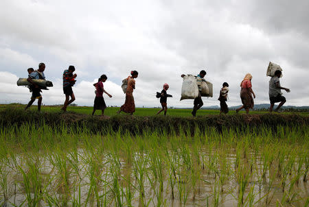 A group of Rohingya refugee people walk towards Bangladesh after crossing the Bangladesh-Myanmar border in Teknaf, Bangladesh, September 1, 2017. REUTERS/Mohammad Ponir Hossain